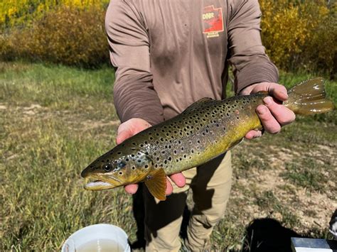 tribal fishing|Utah Division of Wildlife Resources.
